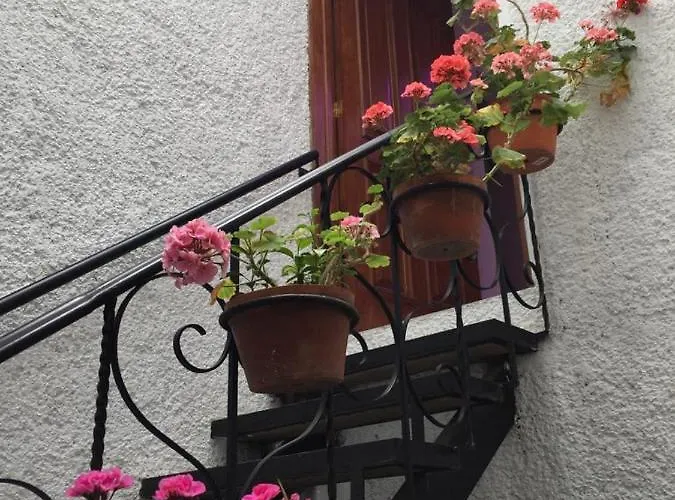 Cozy Private Hostel Mexico City
